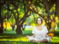 FB体育网页版-北京队对阵鹈鹕，克莱关键进球定乾坤