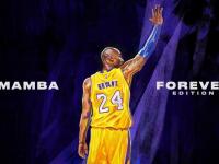 FB体育网页版-武切维奇爆发，掘金关键战突围骑士