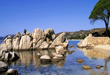 FB体育在线-韩国队力克奥地利队，樊振东状态火热