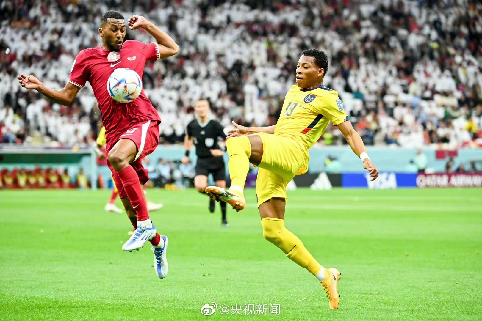 包含厄瓜多尔战胜意大利,形势一落千丈的词条 包含厄瓜多尔战胜意大利,形势一落千丈的词条