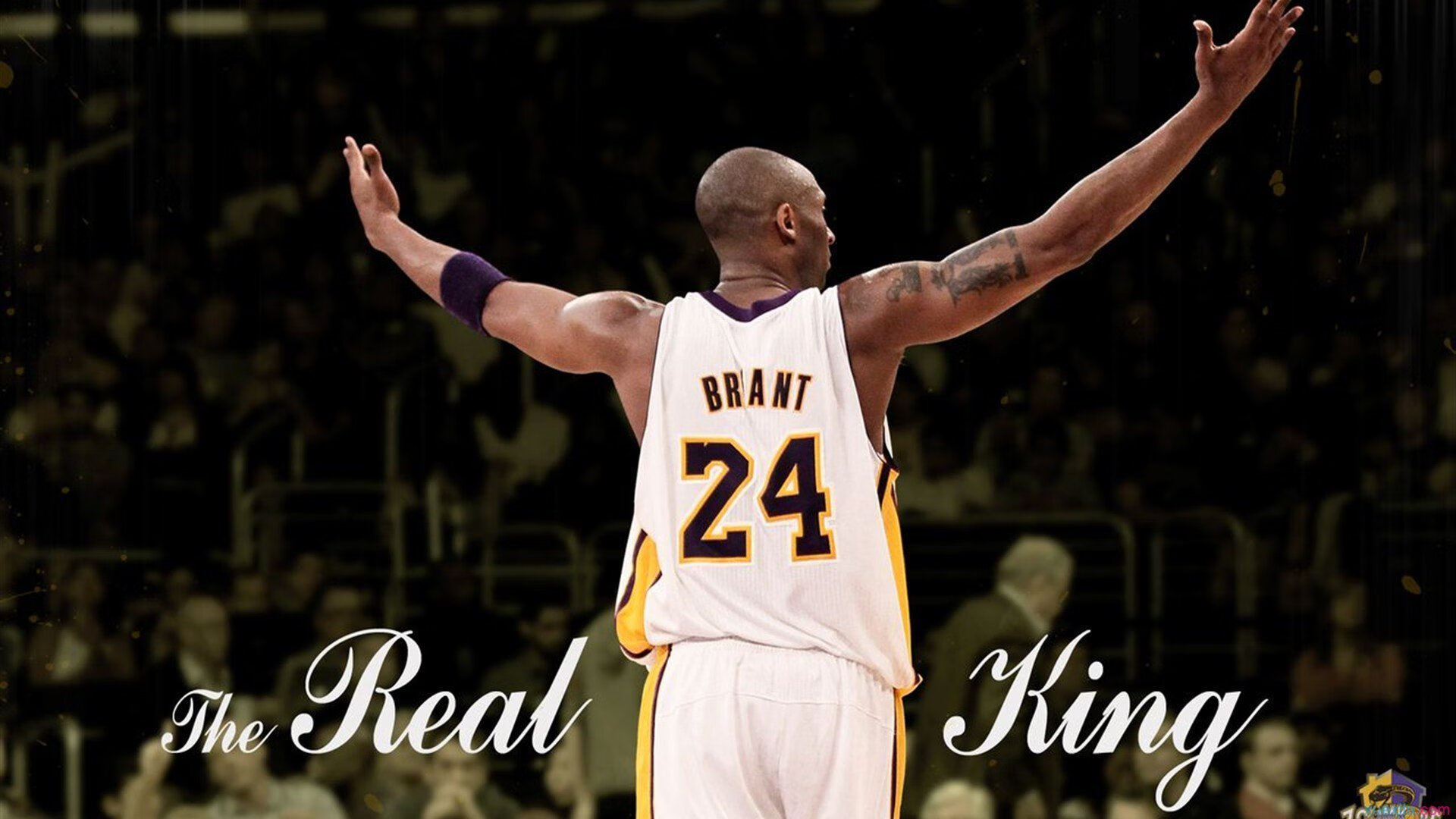 克莱·汤普森末节狂飙19分，猛龙险胜森林狼晋级关键战