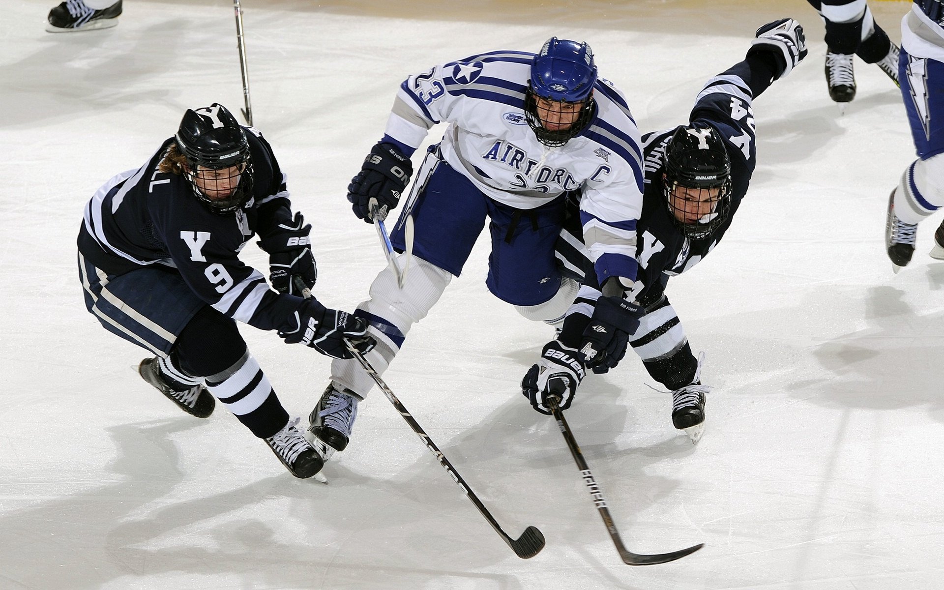 76人横扫辽宁队，麦科勒姆惊艳四座，一场跨越篮球文化的对话
